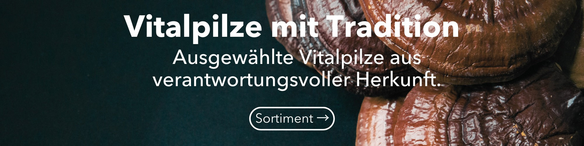 Abonniere Angebote & Neuigkeiten von HAWLIK