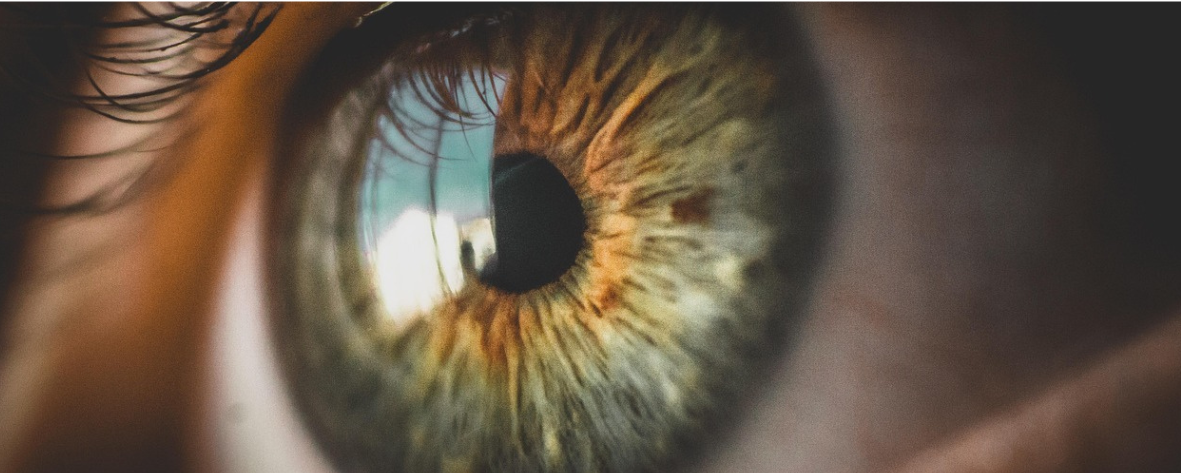 Unsere Augen im Dauereinsatz: Was ihnen wirklich guttut