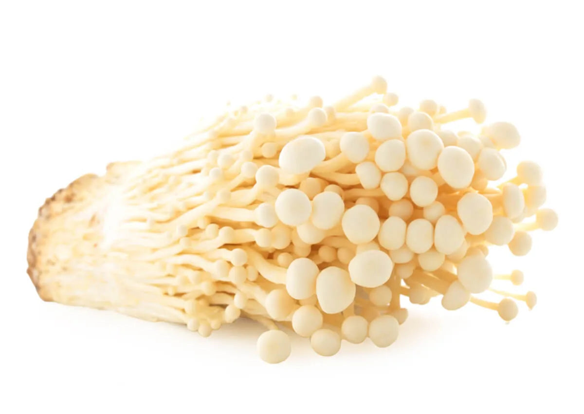 Enoki Vitalpilz (Samtfußrübling)