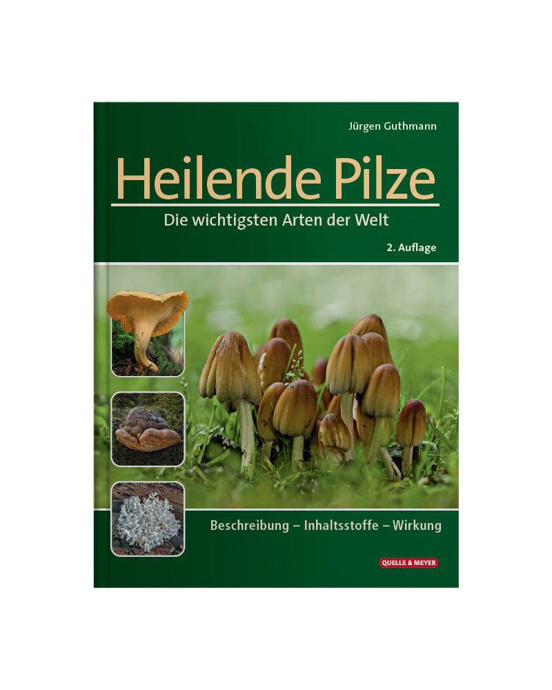 Heilende Pilze