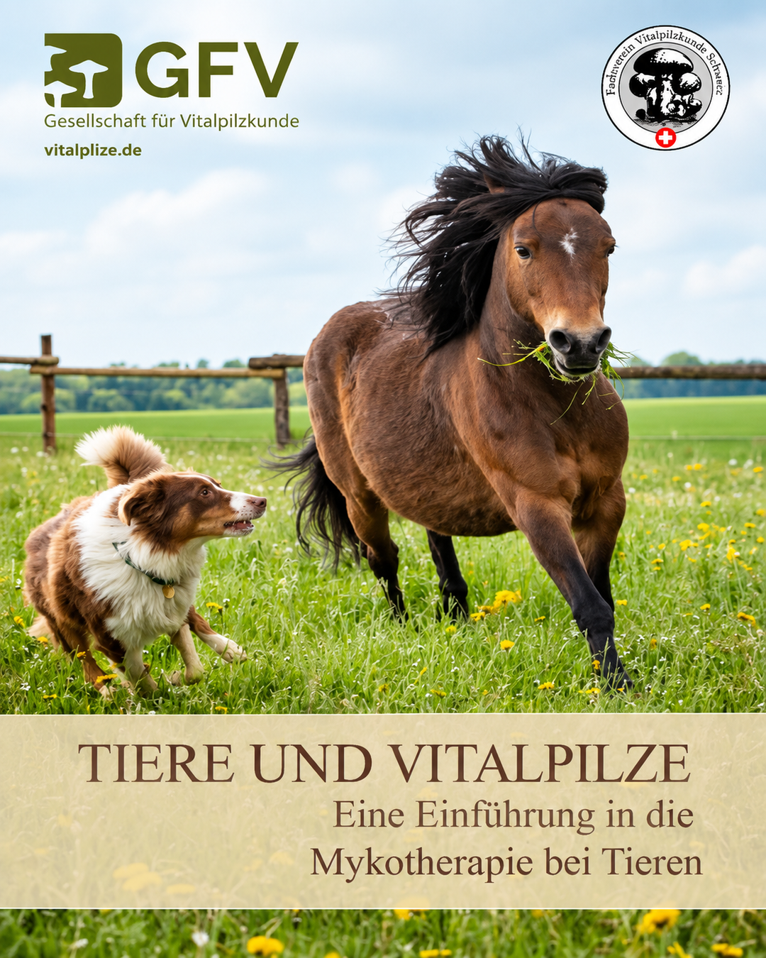 GFV Broschüre – Vitalpilze in der Veterinärmedizin