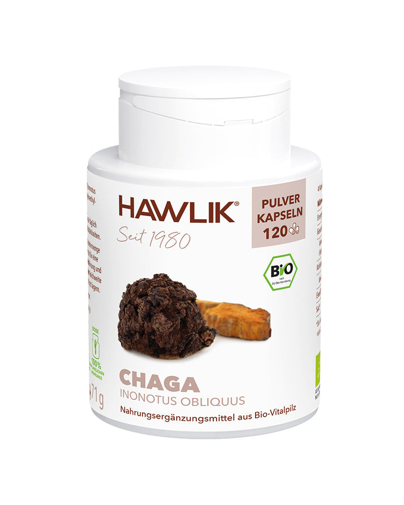 BIO Chaga Pulver Kapseln