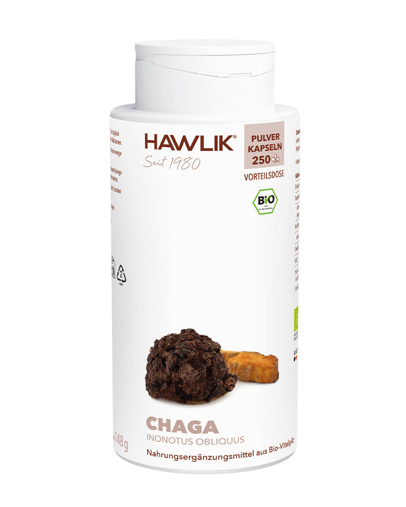 BIO Chaga Pulver Kapseln