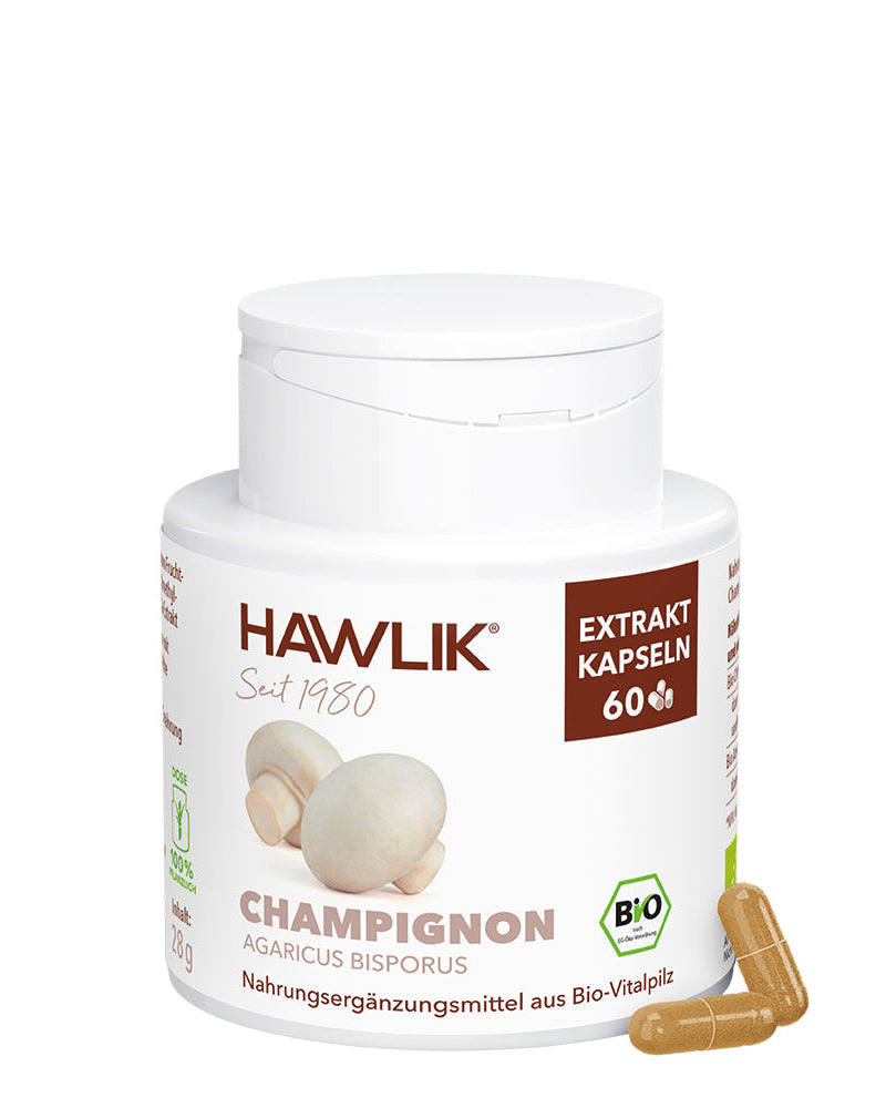 BIO Champignon Extrakt Kapseln