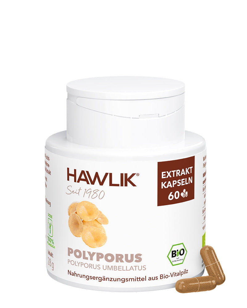 BIO Polyporus Extrakt Kapseln