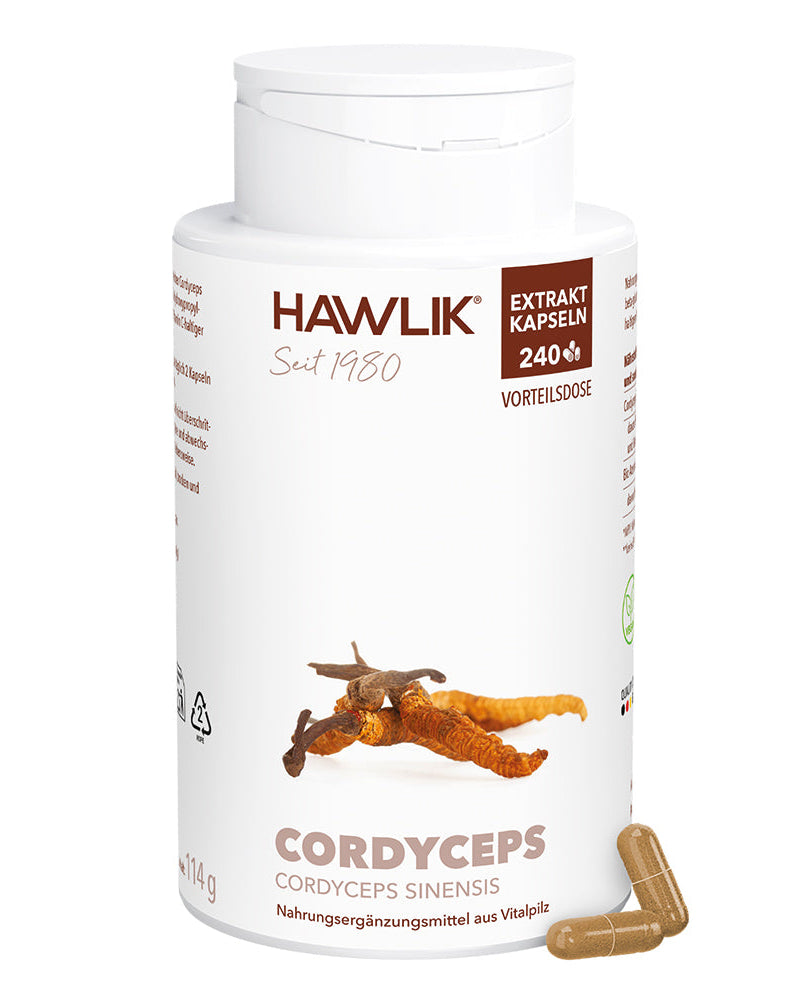 Cordyceps Extrakt Kapseln