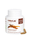 Cordyceps Extrakt Kapseln