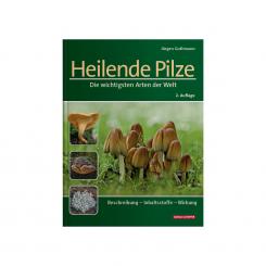 Heilende Pilze 