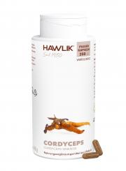 Cordyceps Pulver Kapseln 250 Kapseln Vorteilsdose