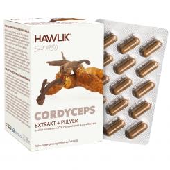 Cordyceps Extrakt + Pulver Kapseln 120 Kapseln Vorteilspackung