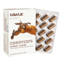 Cordyceps Extrakt + Pulver Kapseln 