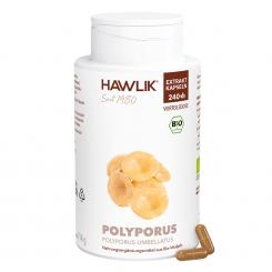 BIO Polyporus Extrakt Kapseln 240 KapselnVorteilsdose