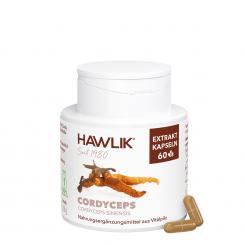 Cordyceps Extrakt Kapseln 