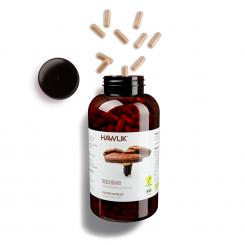 BIO Reishi Pulver Kapseln 500 Kapseln Vorratsdose