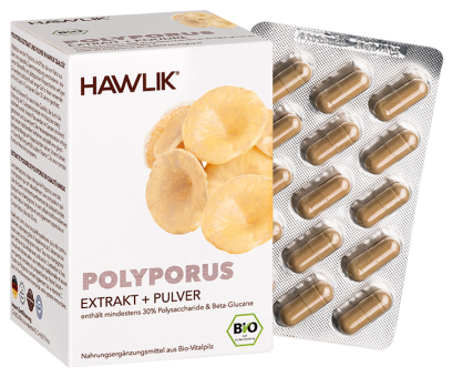Polyporus - Extrait + poudre  biologique en gelules Paquet avantage de 120 gélules