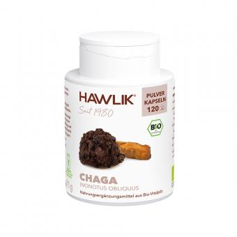 BIO Chaga Pulver Kapseln 120 Kapseln